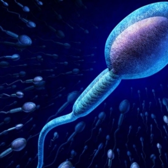 FAQ: Ανδρική υπογονιμότητα